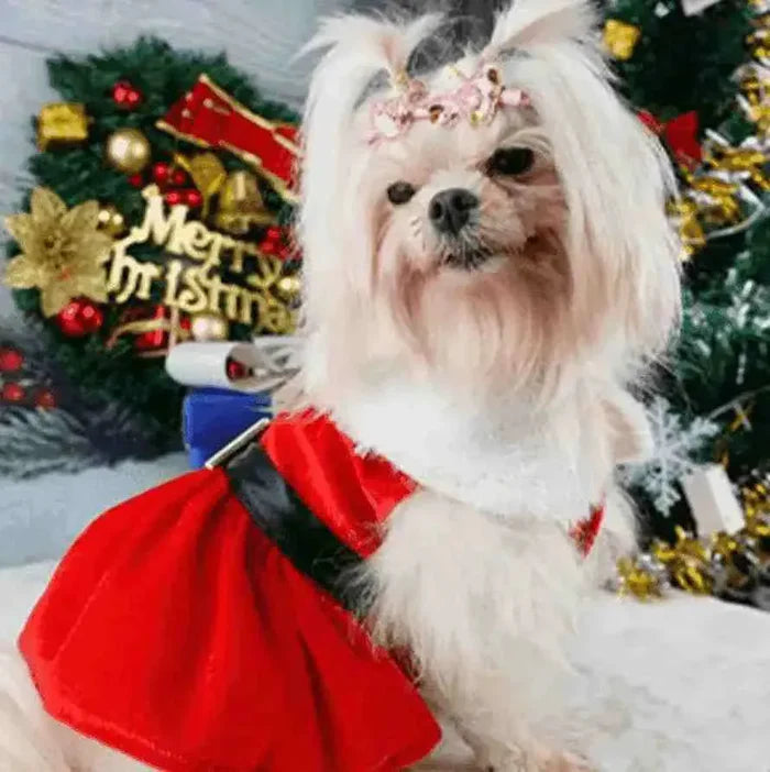 Vestido Pet de natal