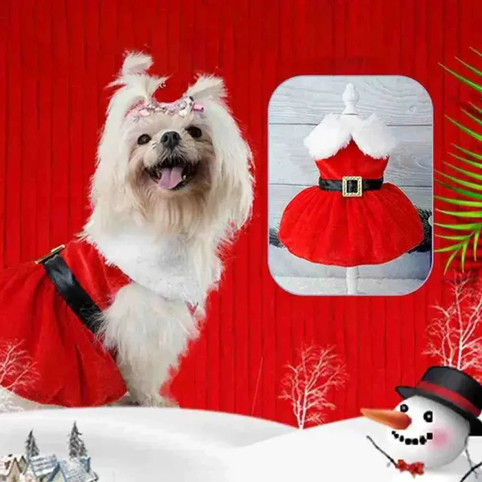 Vestido Pet de natal